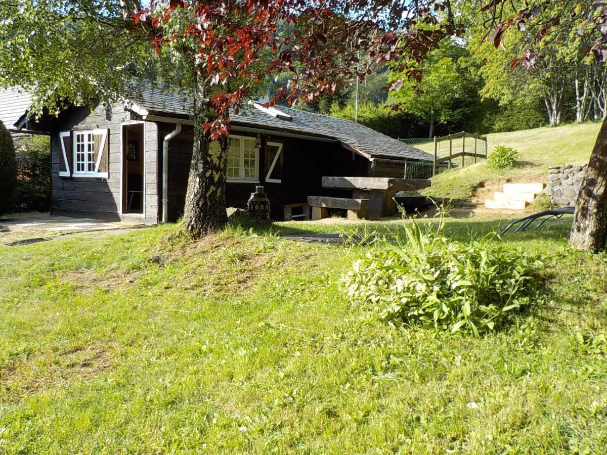 Chalet Des Cascades Le Mont-Dore Exterior photo